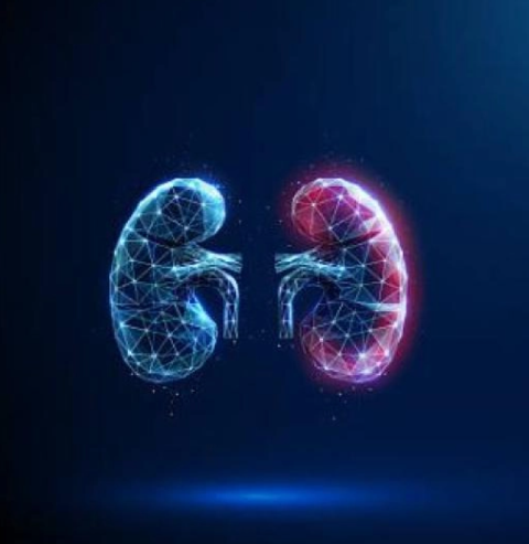 Colloque transversal de néphrologie de l'HUB. Anderlecht