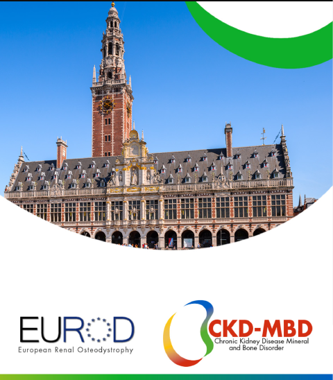 9th EUROD Winter Meeting. Leuven