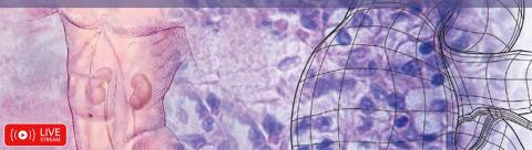Comprehensive Update in Nephrology. Boston