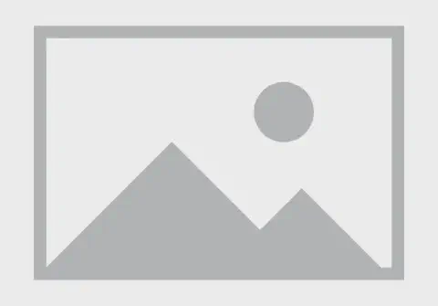 Renal Pathology Course. Amsterdam